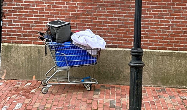 Abandoned shopping car