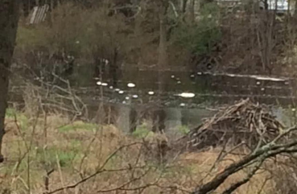 Construction debris in the Mother Brook