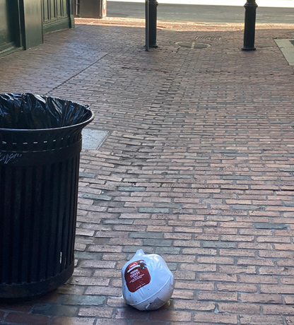 Wrapped turkey on a downtown Boston street