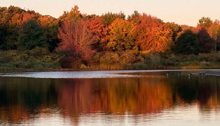 Calm waters and fall trees along the Charles