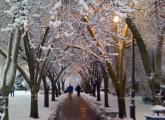 Seven Hills Park after the snowstorm