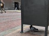 Pigeon downtown