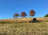 Mowing at Millennium Park