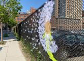 Big knitted dandelion on an A Street fence