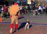 Man dressed as a turkey in Somerville race