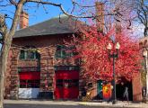 Red tree next to West Roxbury firehouse