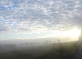 Sun coming through the fog at Millennium Park