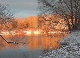 Golden trees at sunrise along the Charles River