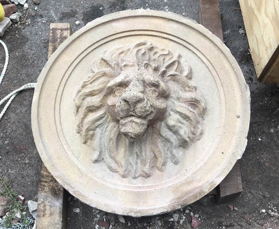 Lion head on the ground